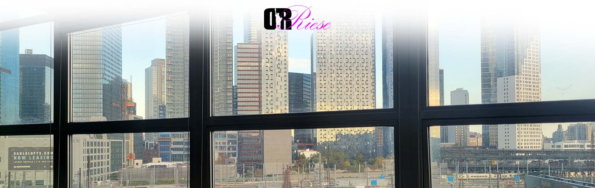 Classroom view of Long Island City, NY | Dr. Riese Course Outline | Dr. Riese